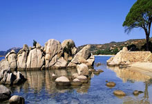 开云体育下载-温网完胜拉沃尔杯，鲁德刷新纪录