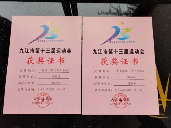 关于韩国名将金成烈在拳击比赛中表现出色，获得金牌的信息
