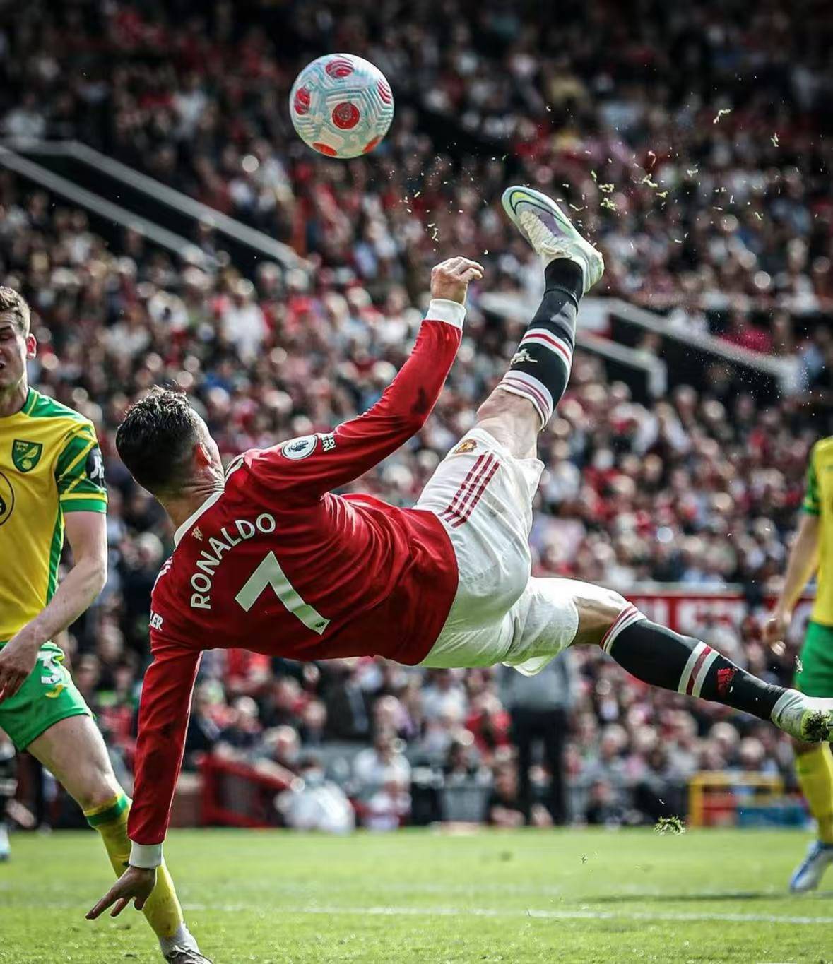 佛罗伦萨临危不惧，战胜对手的简单介绍