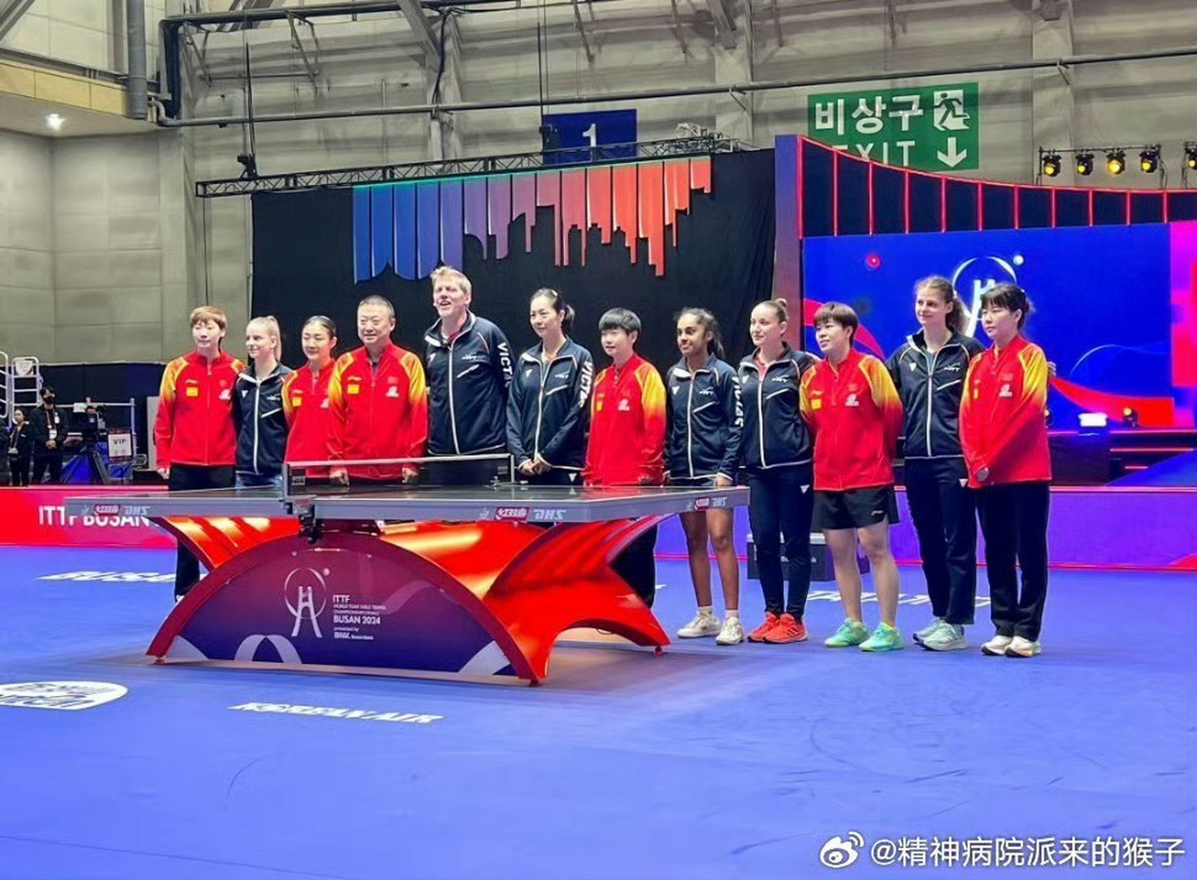 法国队翻盘韩国队，马琳关键制胜