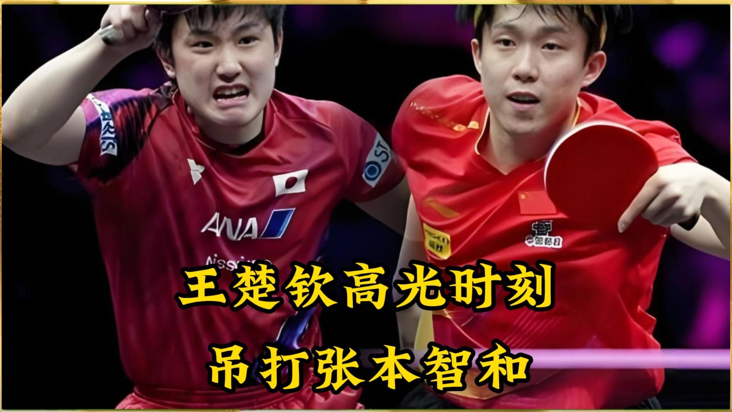 中国队横扫奥地利队,张本智和高光表现 中国队横扫奥地利队,张本智和高光表现