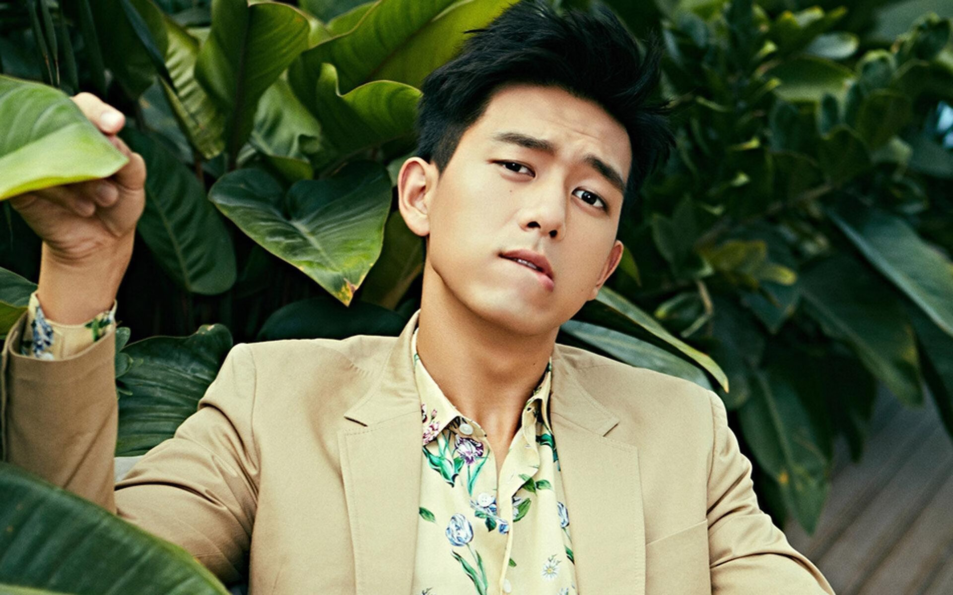 波斯铁骑硬撼阿尔卑斯雄鹰，北美大陆上的西亚与中欧角力