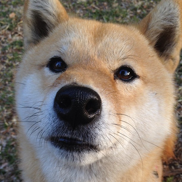 雷霆轻取深圳队,杰伦·格林闪耀成为关键先生