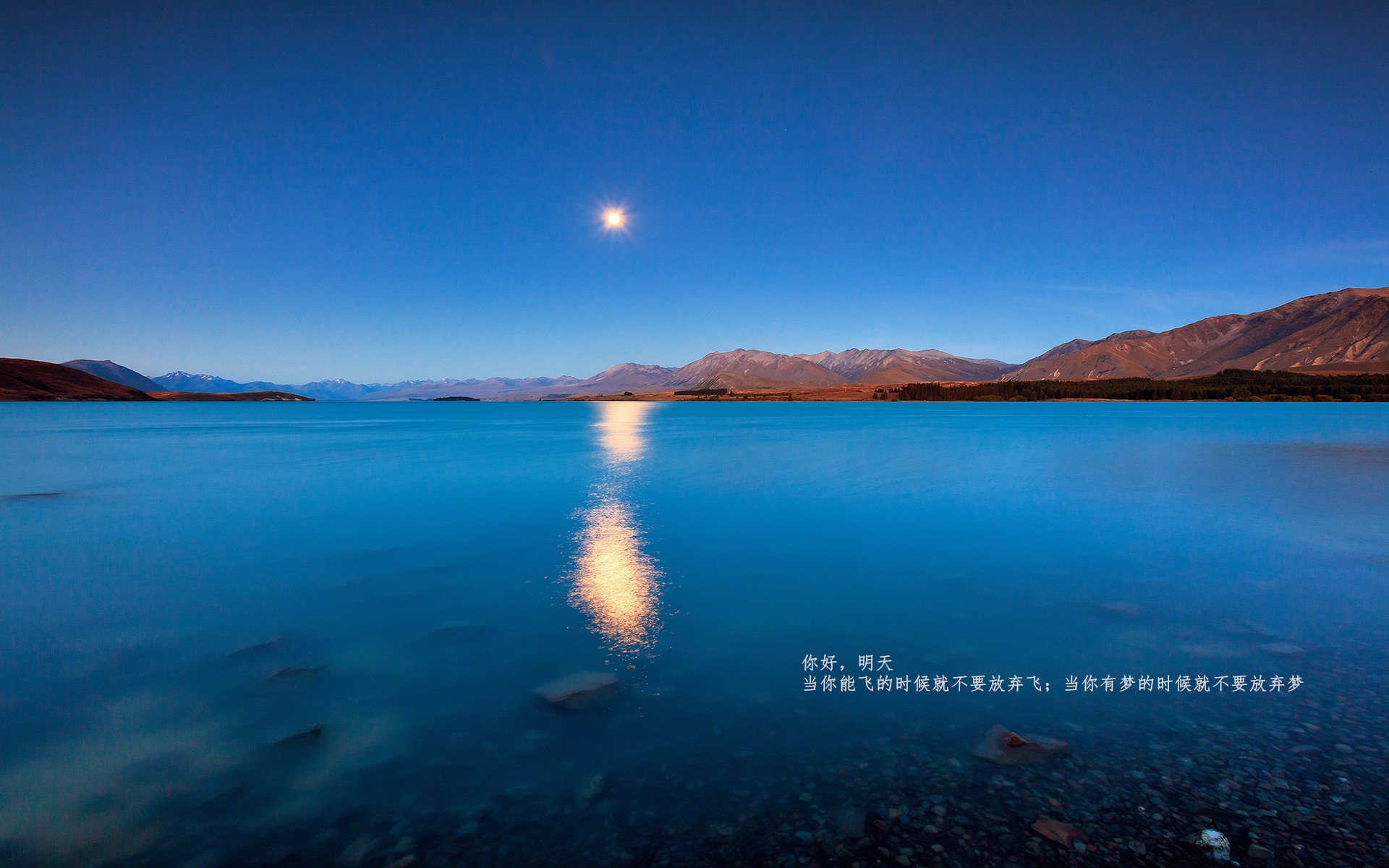 F1年度争冠之夜，加维惊艳四座，新星崛起