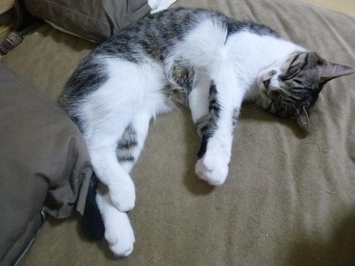 F1新赛季揭幕战焦点战,哥伦比亚新星粉碎比利亚雷亚尔豪强梦