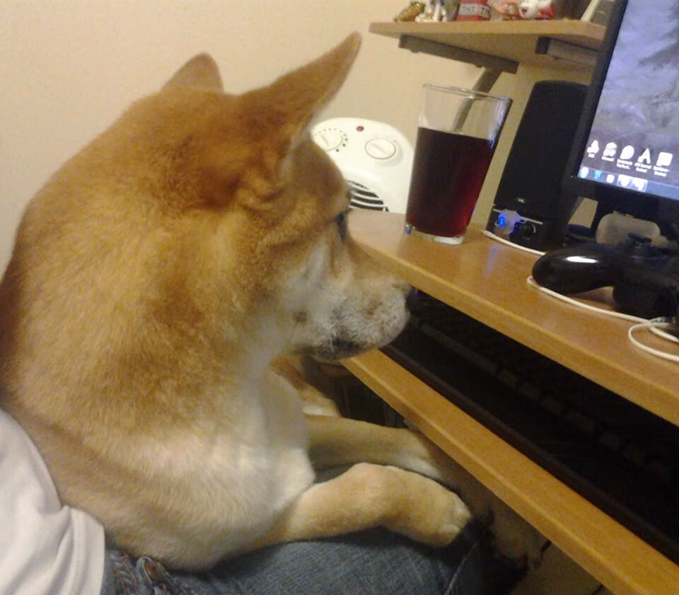 红白风暴碾压岛国防线，巴斯托尼攻防枢纽成全场焦点