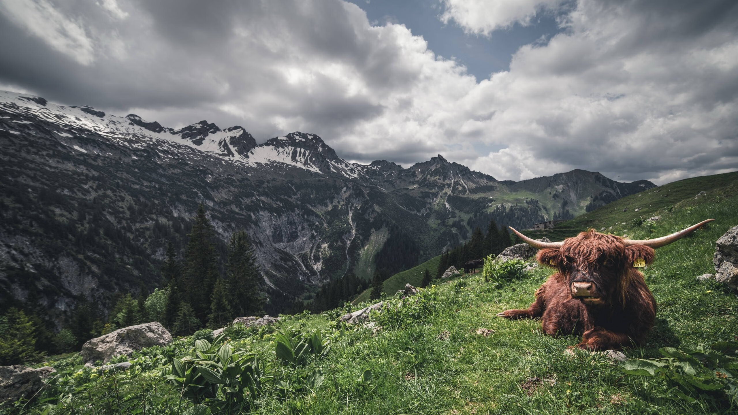神级发挥与无解杀招，当布克的火焰点燃赛场，浙江队只能仰望