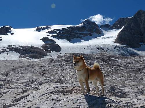 东决关键战焦点战，掘金力克上海队，跨界对决引热议