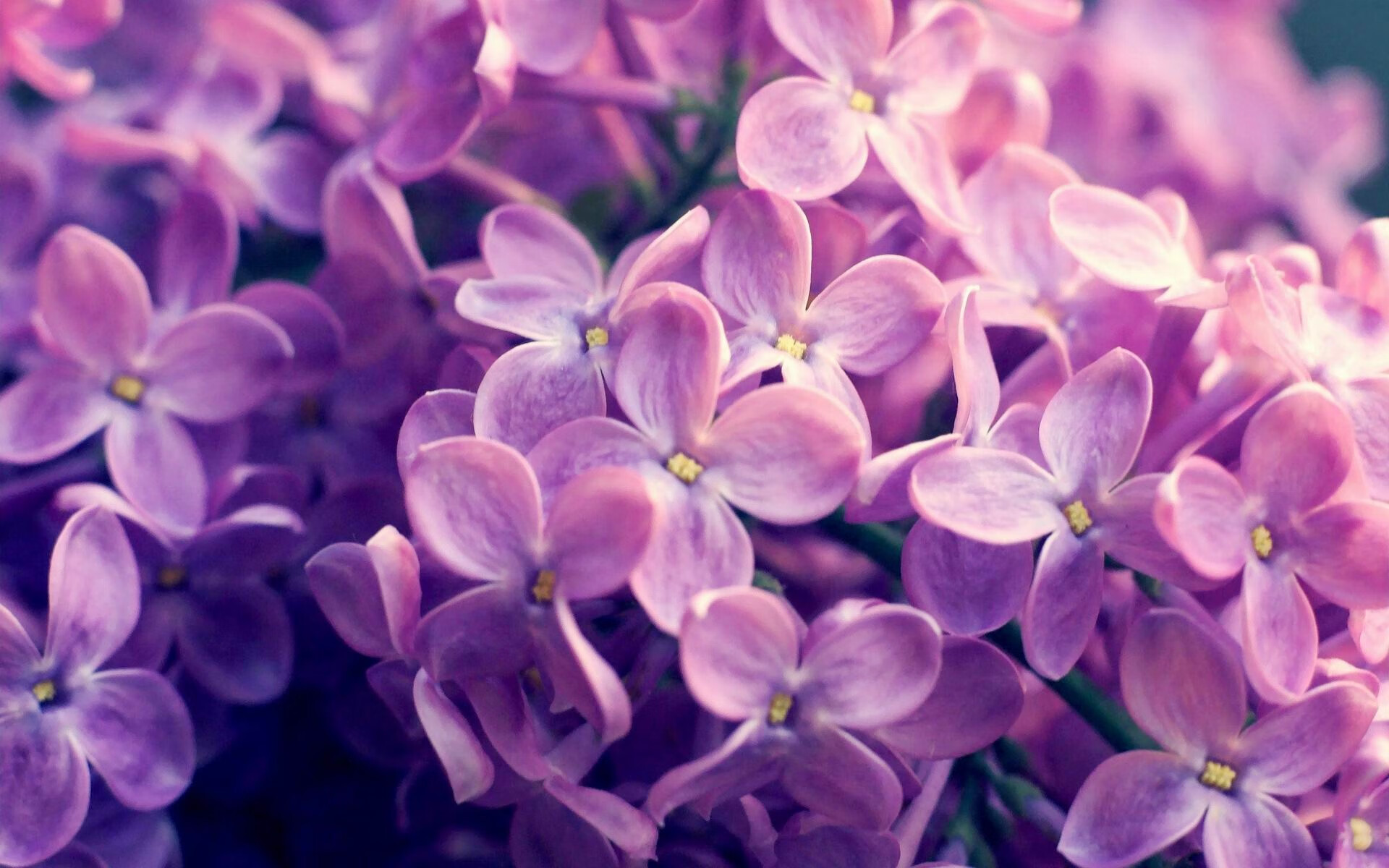 隔空对决！快船单节打崩雄鹿，福克斯强势宣言刷足存在感
