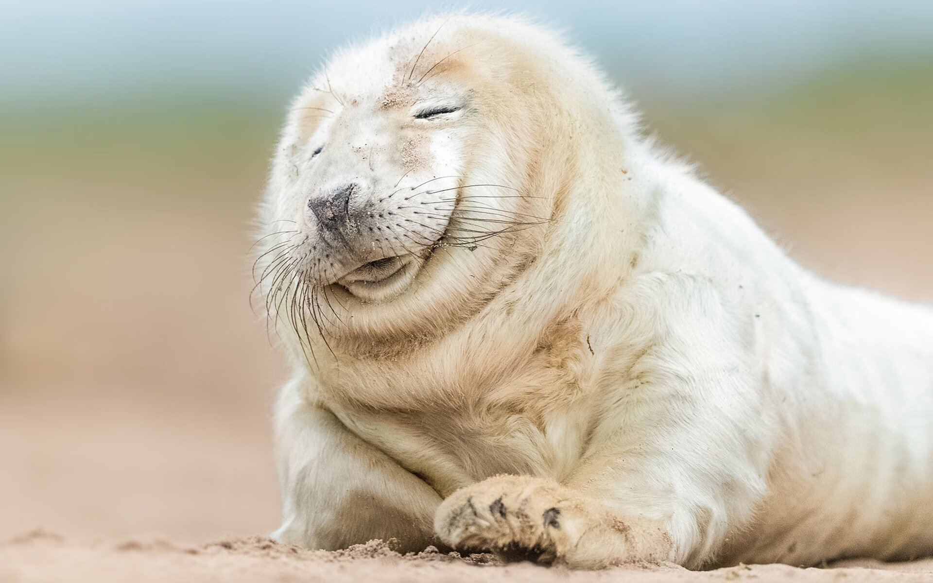 两个战场，足球如何为个人与民族写下救赎篇章