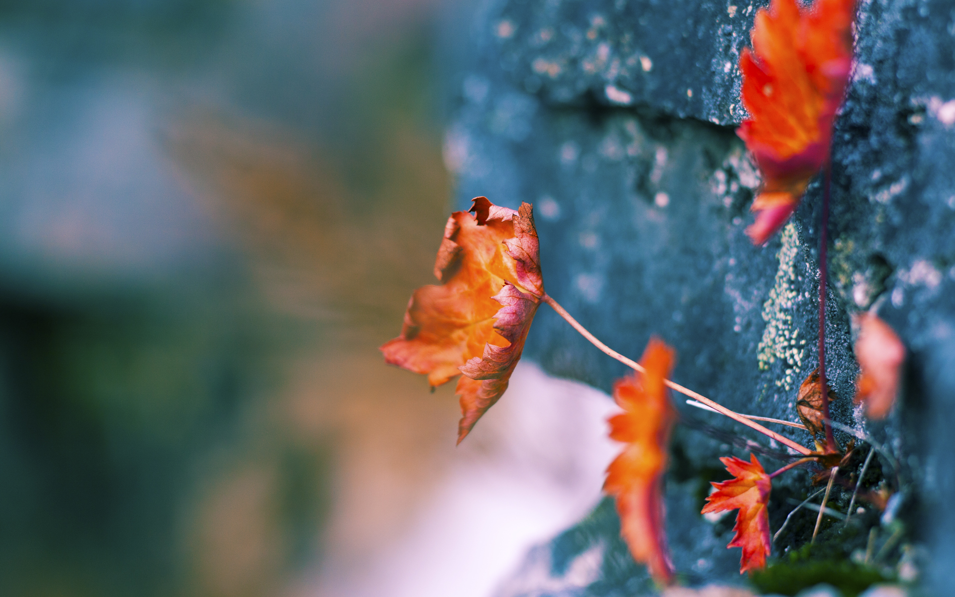 库里超越三分线,太阳加时鏖战的终极答案