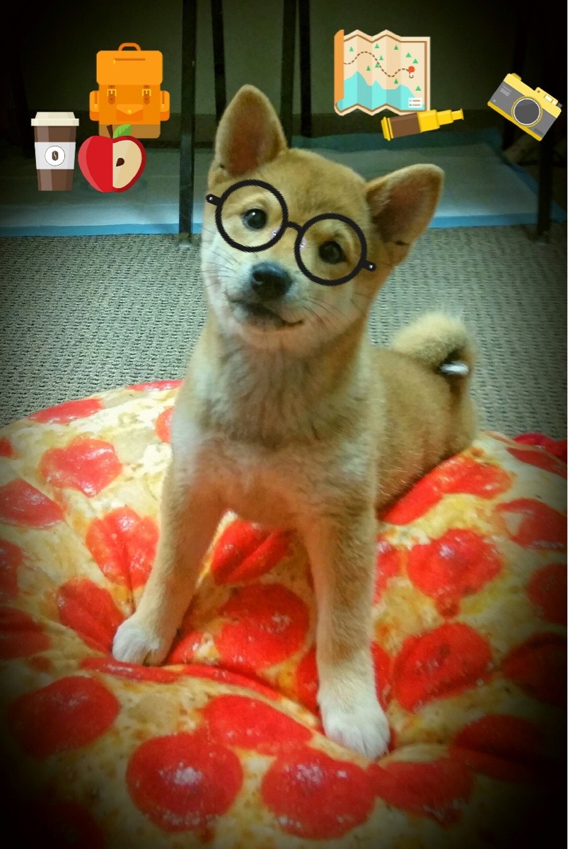 上海队爆冷击溃太阳,贝恩化身关键先生助队取胜