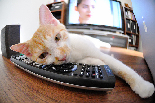 2026世界杯惊魂夜！绝境之下，乔治的巨星光芒照亮美利坚征程