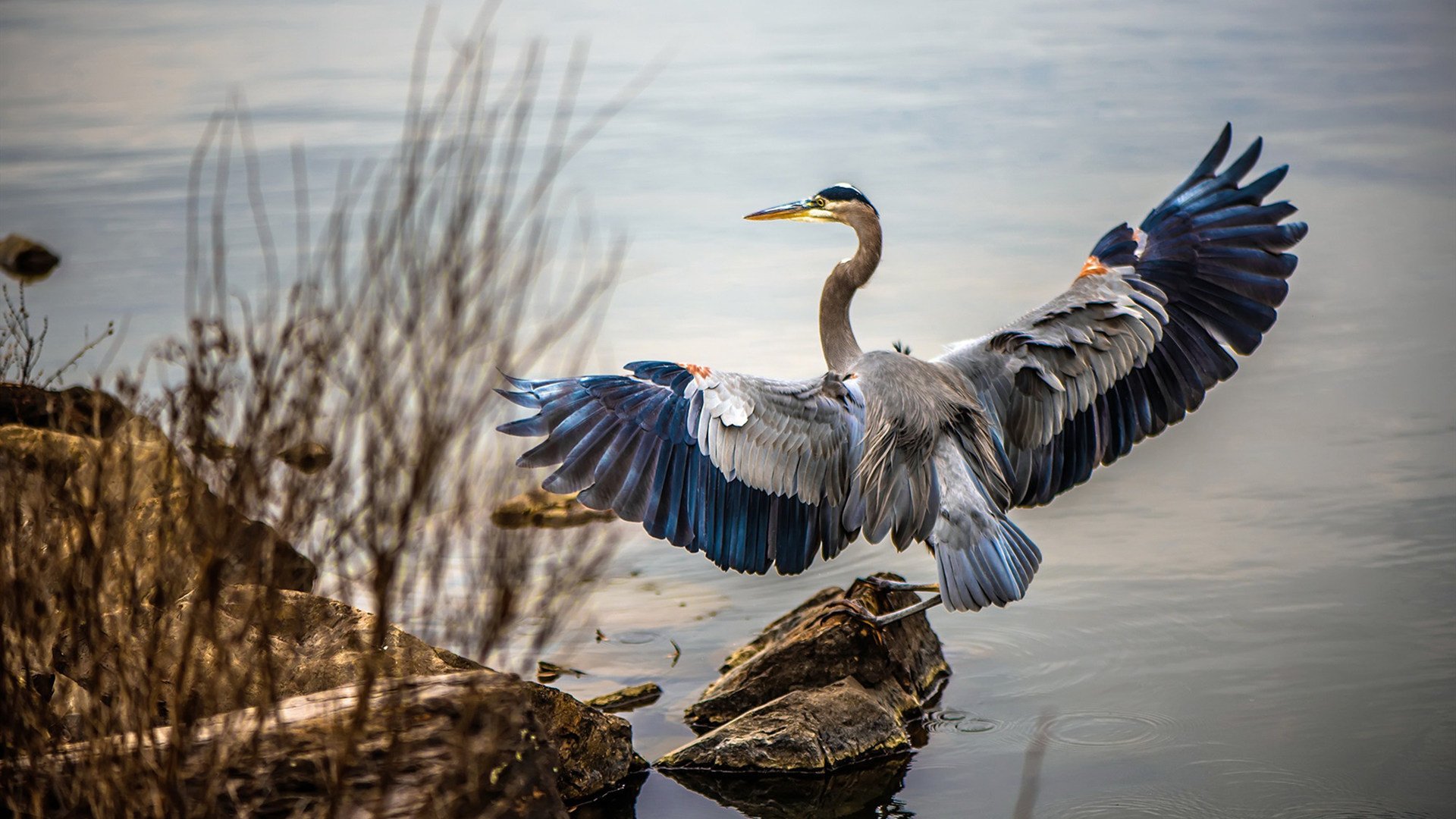 巴雷拉爆发难救主！拜仁最后时刻绝杀墨西哥