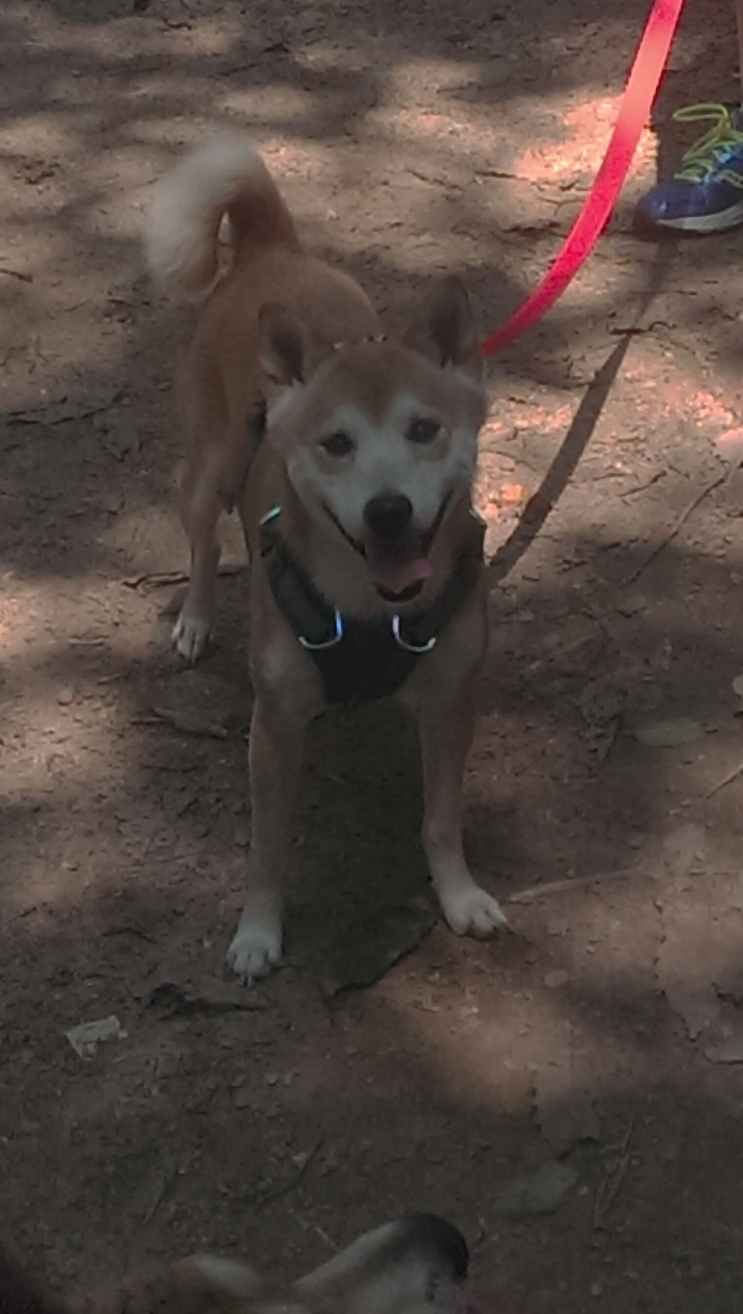 阴影下屹立，金玟哉用一场爆发完成对压力的绝地反杀