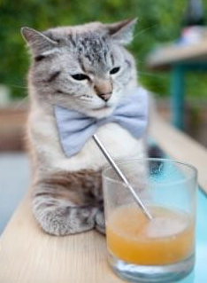 浙江队战术网压下,欧文绝境中绽放的孤星光芒